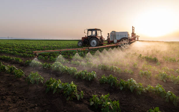 Best Ant Control Services  in Galena, IL