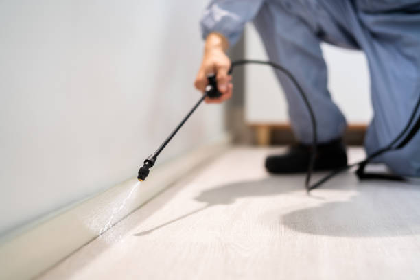 Pest Control Cost in Galena, IL
