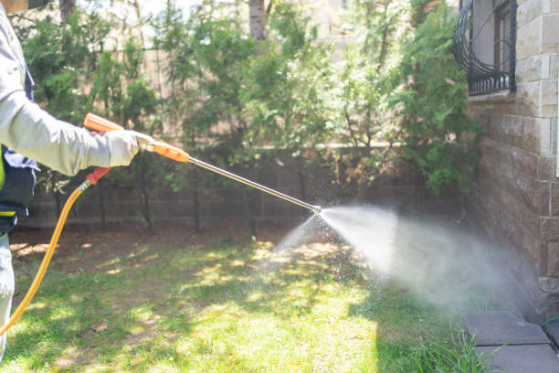 Best Emergency Pest Control  in Galena, IL